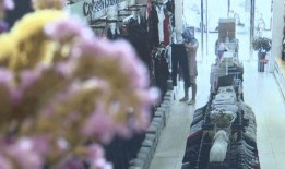 蒙面女生爆料视频播放,揭秘幕后的惊人真相